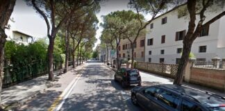 Presto rimossi gli alberi pericolanti di via Cesare Battisti