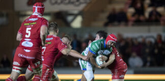 Hame Faiva lascia i Leoni