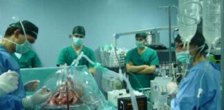 Oggi è la Giornata Mondiale del Trapianto