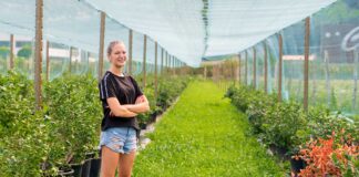 Furto nel terreno di una 25enne, Savno ripagherà i pannelli fotovoltaici