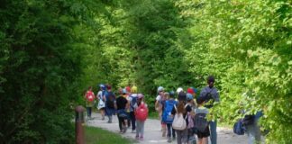 Un albero per ogni bambino: 600 scolari al Bosco di Mestre
