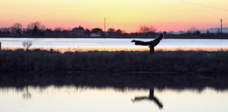 “Intertidal” chiude la rassegna “Paesaggi che cambiano”