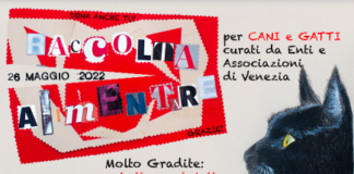 Giovedì giornata finale del progetto “Get Up” per la cura degli animali