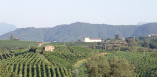 Antica Fiera di San Gregorio 2026: programma, eventi e novità a Valdobbiadene