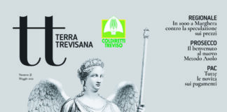 Terre trevisane: il giornale di Coldiretti mette Canova in copertina