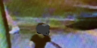 Ruba bicicletta in zona stazione, preso dalla Polizia