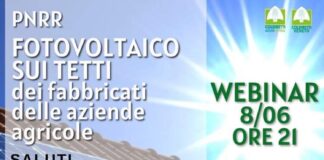Fotovoltaico e opportunità di risparmio energetico: webinar di Coldiretti
