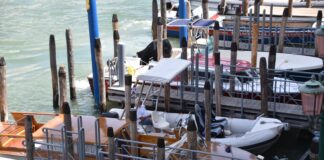 Al via il primo Trofeo città di Venezia