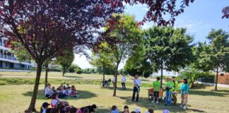 Nei parchi di Casier fioriscono piccole biblioteche spontanee