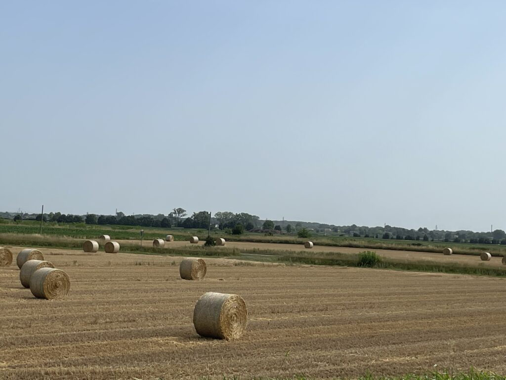 Una zona di campagna a San Michele al Tagliamento