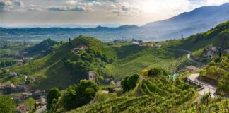 I colli trevigiani protagonisti nella Giornata dei Colli Veneti 2023