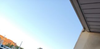 Venezia, venti euro per la foto con i barbagianni in fin di vita: salvati dall’Ulss 3 e proprietari denunciati Il primario del Servizio veterinario (Area C) dell’Ulss 3 Carmine Guadagno mentre visita uno dei due barbagianni appena soccorsi a piazzale Roma