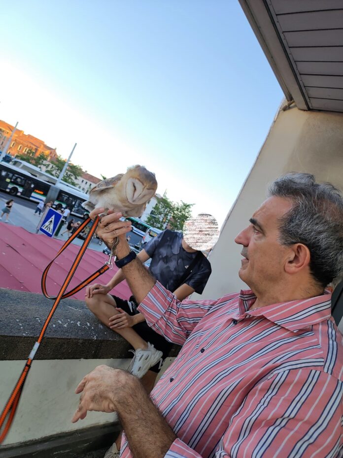 Il primario del Servizio veterinario (Area C) dell’Ulss 3 Carmine Guadagno mentre visita uno dei due barbagianni appena soccorsi a piazzale Roma