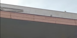 Allarme bomba Stazione di Santa Lucia: denunciato presunto autore della chiamata La stazione di Santa Lucia evacuata - frame dal video della pagina Facebook Ufficiale dell'Assessore Simone Venturini