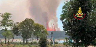 In fiamme un campo di mais nei pressi della pineta di Bibione L'incendio nei pressi della pineta di Bibione
