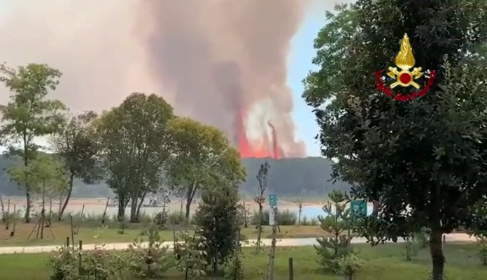 L'incendio nei pressi della pineta di Bibione