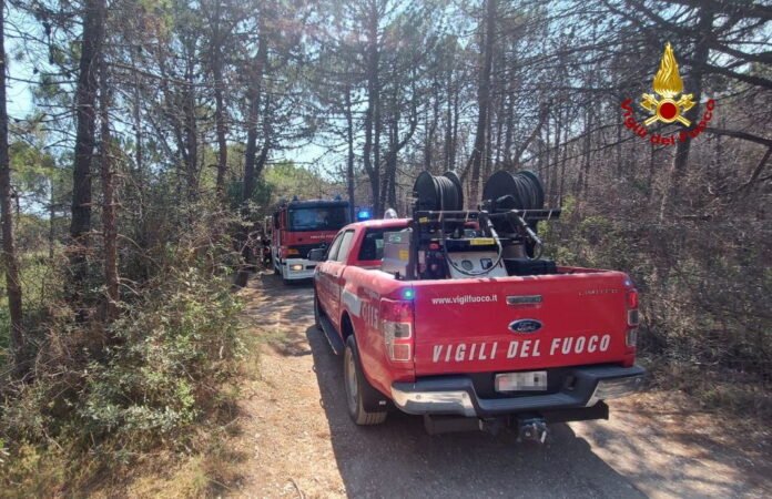 I Vigili del Fuoco nella Pineta di Bibione