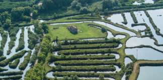 Acquacoltura, per le valli da pesca aperto il bando “Prestazione Servizi Ambientali”