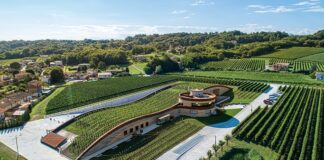 Cinema in Cantina, il 24 agosto si parte da Giusti Wine a Nervesa