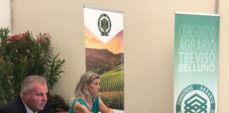 Consorzio Agrario Treviso Belluno, +37,8% nei primi 6 mesi del 2022