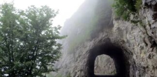 Dorsale del Grappa, la Provincia affida i lavori di messa in sicurezza da oltre 1 milione