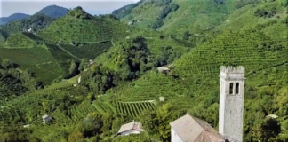 Parte la Conegliano Valdobbiadene Experience