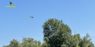 Le Fiamme Gialle di Tessera scoprono coltivazioni di cannabis in un’isolotto del Delta del Po L'avvistamento dell'Isolotto da parte della Guardia di Finanza di Tessera