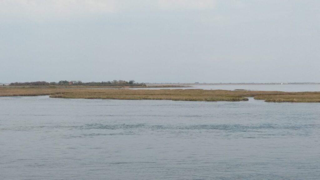 Barena
