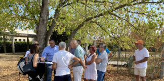 Sartor di Castelfranco: Sopralluogo della Provincia in Vista della Fine Lavori