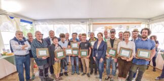 26esima Mostra del Bastardo e Morlacco del Grappa, premiati i migliori formaggi