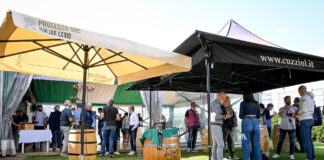 Benetton Rugby – Glasgow Warriors: venerdì live music e food truck