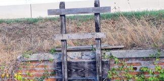 Cavallino-Treporti, agricoltori preoccupati per mancata manutenzione delle chiaviche Una chiavica