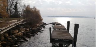 Sant’Erasmo, oltre 360mila euro per il ripristino dei danni da acqua alta del 2019 Danni da acqua alta del 2019 a Sant'Erasmo