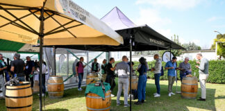 Musica dal vivo e food truck per Benetton Rugby VS Scarlets