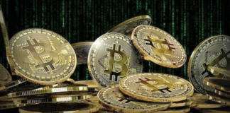 Vicenda Nft, il Codacons incontra gli investitori a Silea