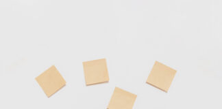 “Giorgia Meloni è pronta per essere premier” – Luca De Carlo, Fratelli d’Italia flat tax elezioni