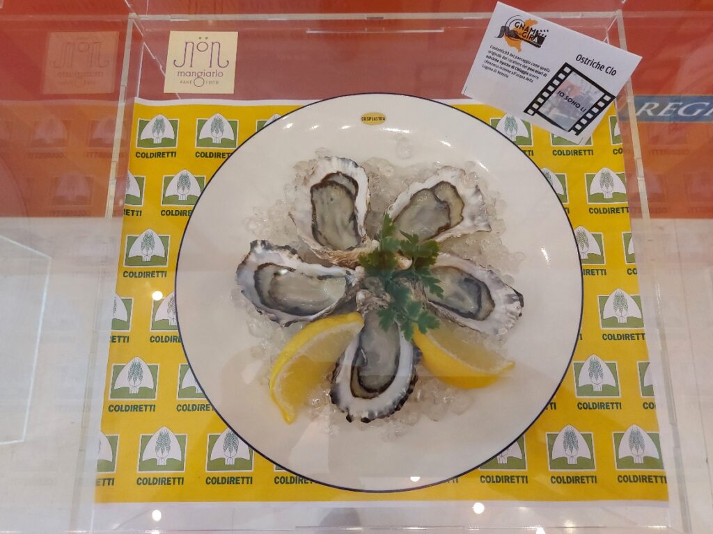 ostriche Clò pescate a Chioggia da Gianluca Aresù