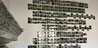 Inaugurata la mostra “Out of Sight” della Fondazione Bevilacqua La Masa La mostra "Out of Sight" della Fondazione Bevilacqua La Masa