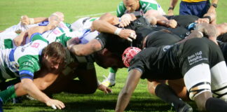 URC, Benetton Rugby ospita i Dragons Benetton Rugby