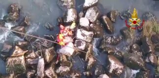 FOTONOTIZIA – Vigonovo, 12enne bloccato sui massi del Brenta: in salvo Le operazioni di salvataggio del dodicenne sul Brenta