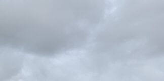 Martedì 25 ottobre passeggiata patrimoniale a Porto Marghera Porto Marghera