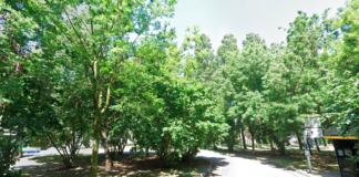 Mestre, 700mila euro per la rotatoria tra via Tevere e via Bissuola iIa Tevere - Foto Google Maps