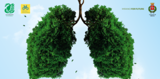 Festa dell’Albero a Mirano: i dettagli Festa dell'Albero