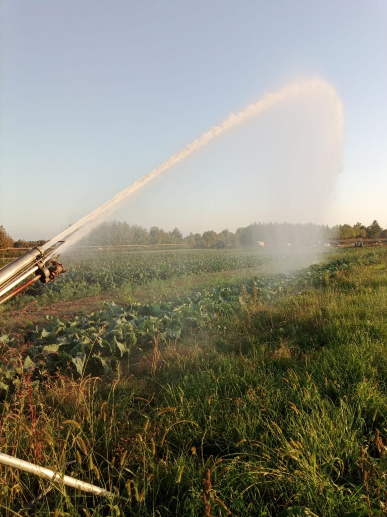 Irrigazione a fine ottobre