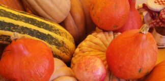 “Zucca Day” al mercato di Campagna Amica di Mestre Zucche