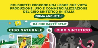 Cibo Sintetico, lunedì Coldiretti scende in piazza per dire “no”