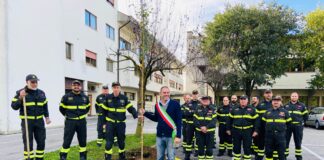 “Adotta un Albero”, dal 2019 donate 400 piante dai trevigiani
