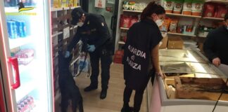 Controlli nel Rione Piave: espulsi stranieri irregolari e multati minimarket I controlli della Guardia di Finanza nei minimarket del Rione Piave