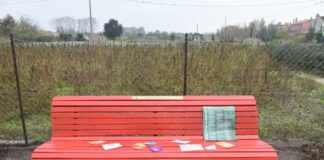 Sant’Erasmo: inaugurata una nuova panchina rossa contro la violenza sulle donne La panchina rossa inaugurata a Sant'Erasmo