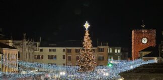 Acceso il grande albero di Natale in Piazza Ferretto a Mestre L'albero di Natale in Piazza Ferretto a Mestre